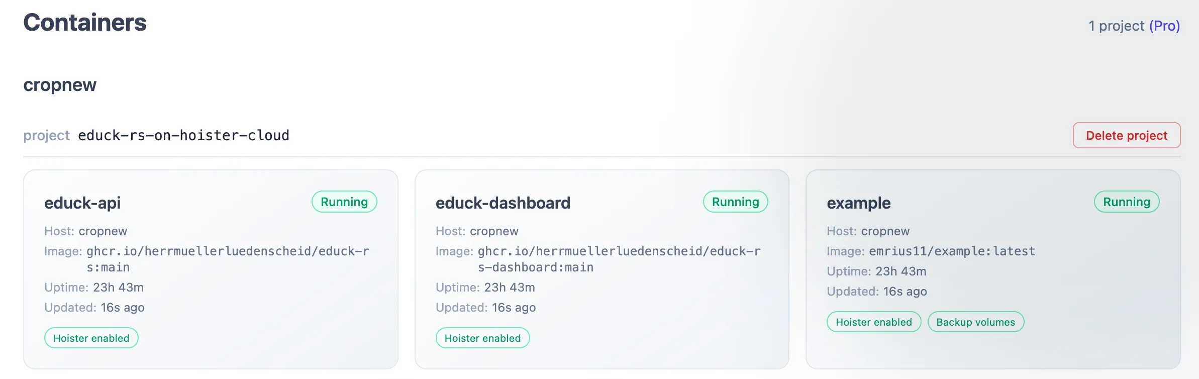 Containers overview grouped by project, each card showing image, uptime and update status
